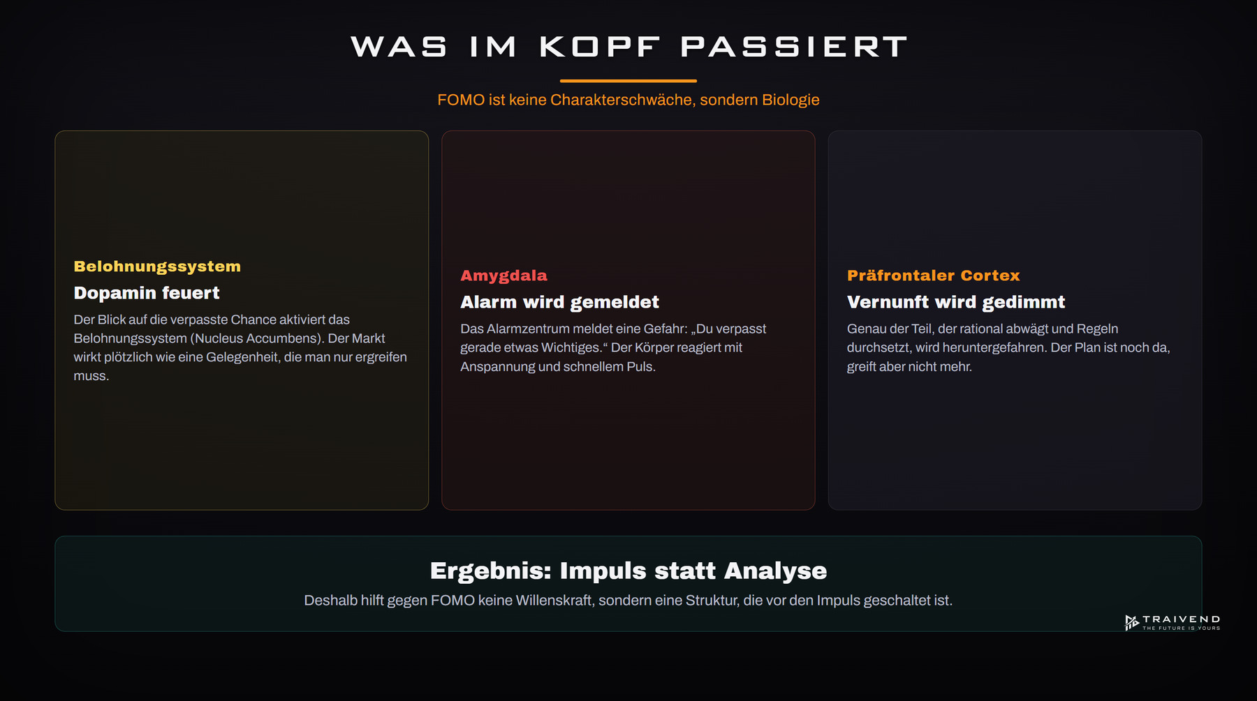 Wie FOMO entsteht: Belohnungssystem und Verlustaversion im Gehirn